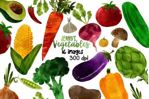 Watercolor Vegetable PNG Clipart - Healthy Food - Digital Download 16 Clipart Images Tomato Carrots CucumberJenny Lynn West